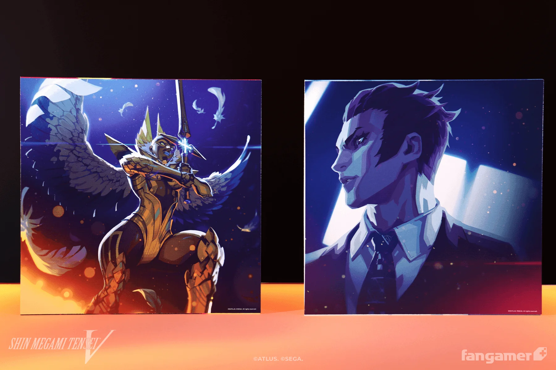 Thumbnail 12
